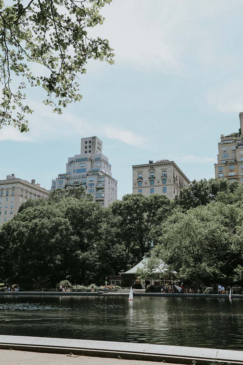 new york high-rise buildings surrounded with tall and green trees building